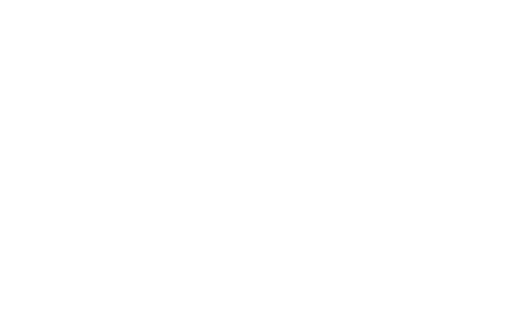 Flavour